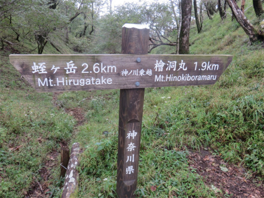 後沢乗越の水場