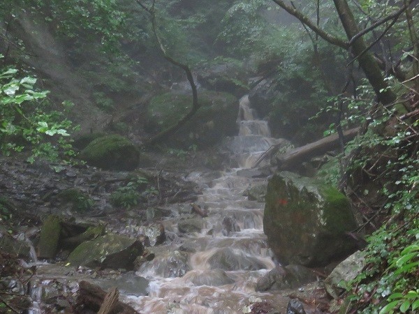 後沢乗越水場の風景