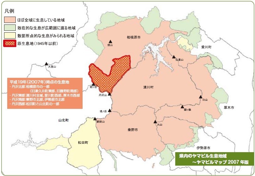 丹沢の山ビルの生息域と活動分布図