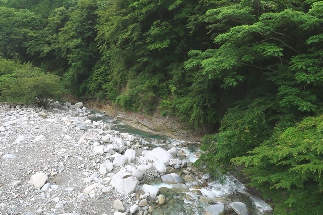 吊橋からの丹沢の景色