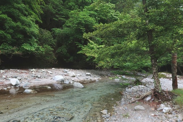 西丹沢ビジターセンターの吊橋平和な沢沿いを上流へ