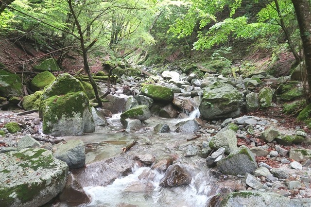 本棚（本棚の滝）までの登山道沢の水が綺麗