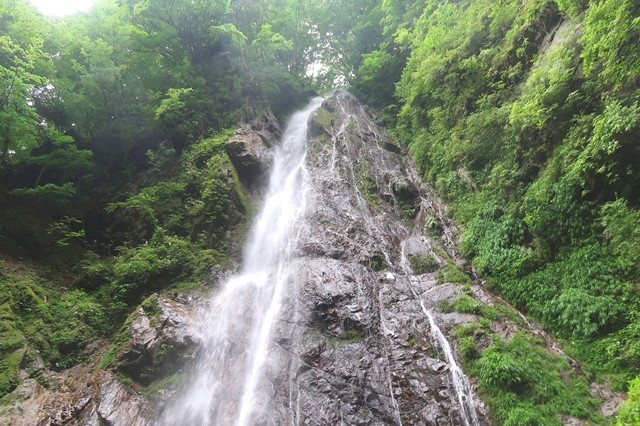 丹沢名瀑の１つ本棚の上部