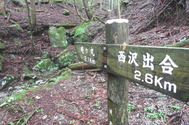 畦ヶ丸と本棚の登山道分岐