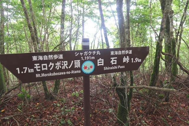 シャガクチ丸の山頂