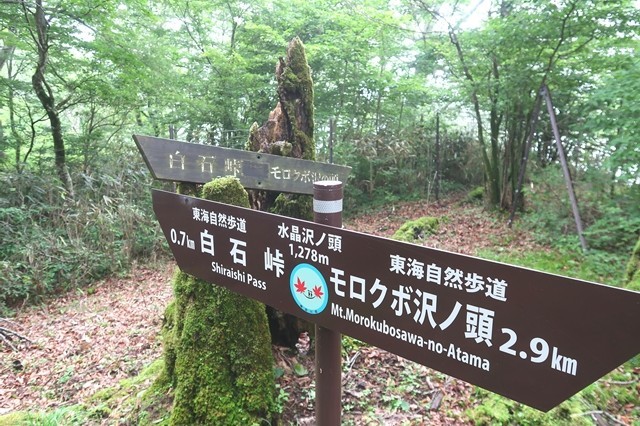 水晶沢ノ頭の標高は１，２７８m