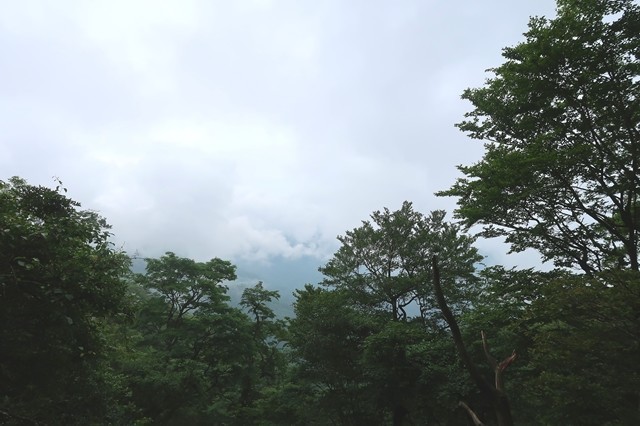 水晶沢ノ頭からの丹沢景色