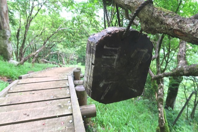 加入道山から大室山の熊よけ