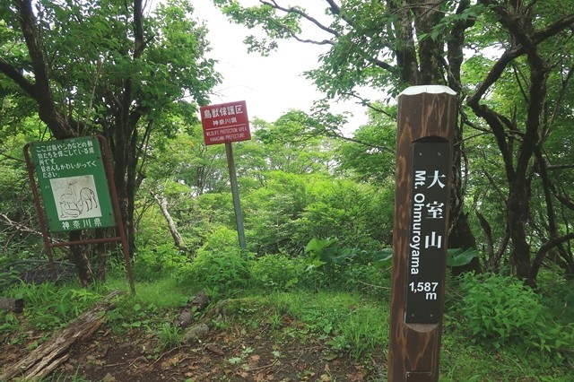 大室山山頂
