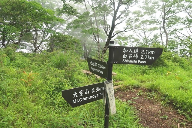 大室山・犬越路分岐