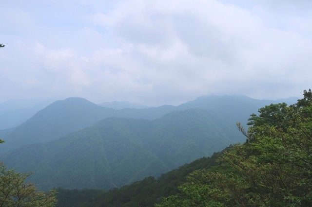 左のピークが権現山、右奥の雲で隠れている山が畦ヶ丸山頂
