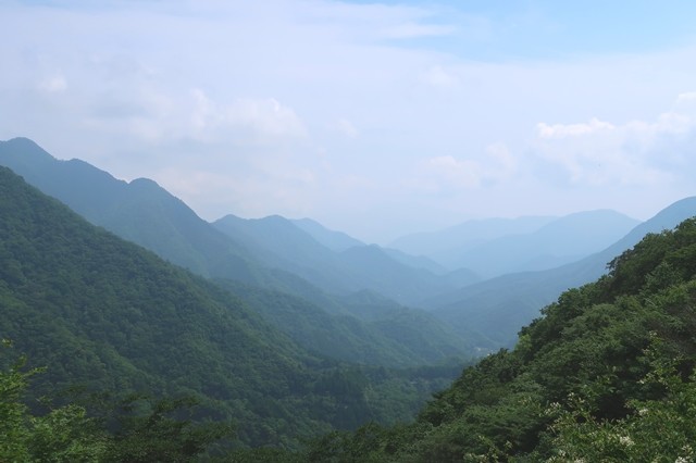 犬越路から西丹沢の展望