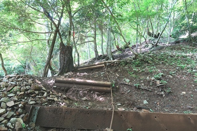 犬越路から用木沢へのルート荒れている