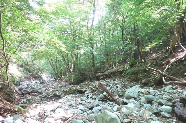 用木沢へのルート転倒、落石に注意