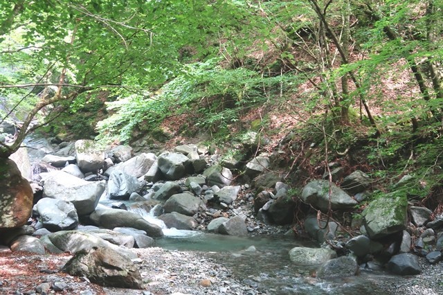 用木沢へ沢沿いルート