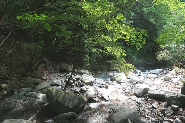 用木沢ルートは水が綺麗で雰囲気が良い