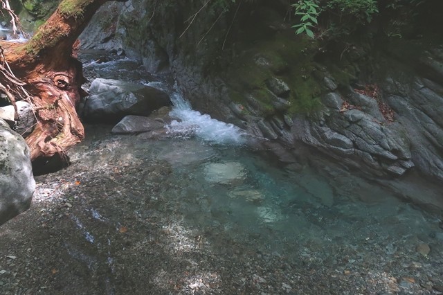用木沢の沢の水