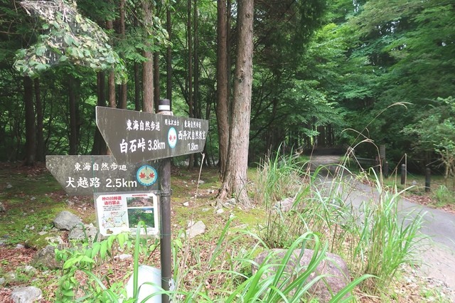 用木沢出合分岐