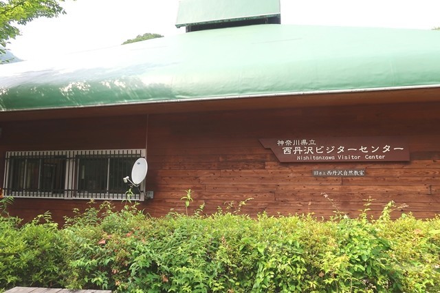 西丹沢ビジターセンターへ下山