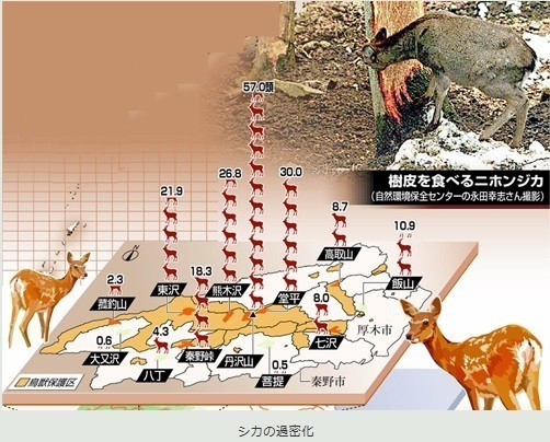 ダニの生息域を増やしてしまう丹沢山塊の鹿の生息密度