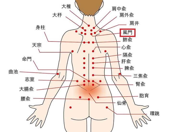 風邪予防になる風門のツボの位置