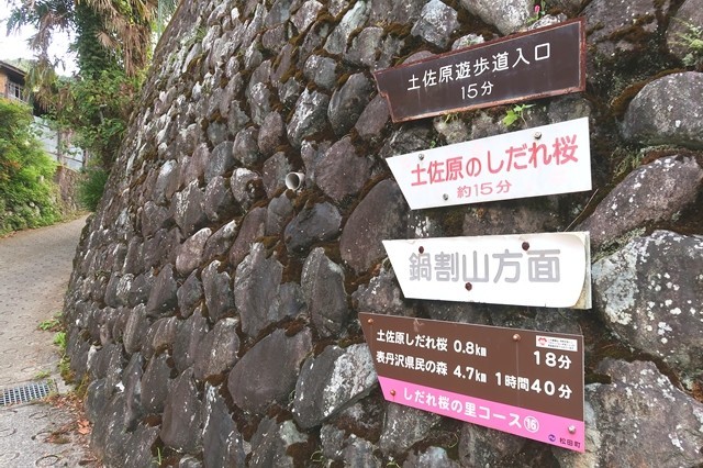 寄から鍋割山を目指し登山スタート