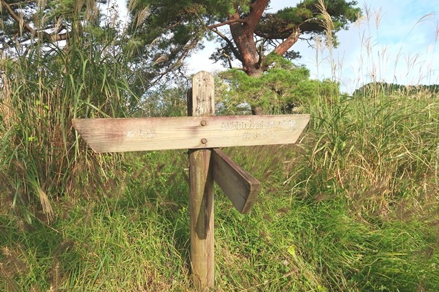 櫟山の山頂と標高は８１０ｍ