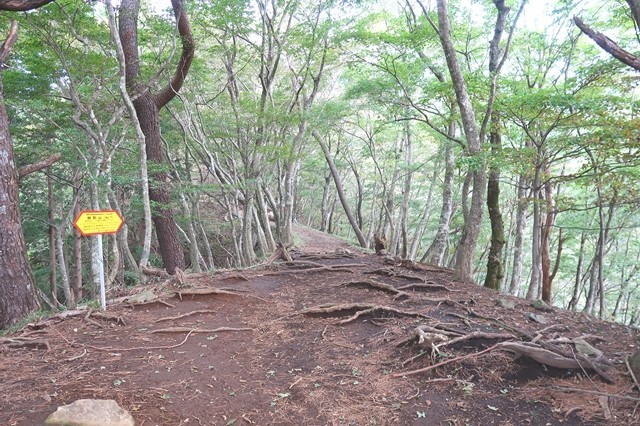 鍋割山偽ピーク箇所