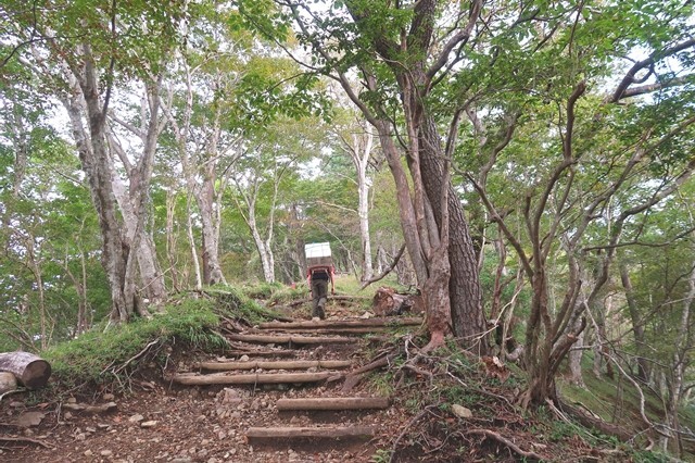 鍋割山荘の歩荷