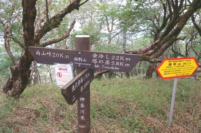 茅ノ木棚沢ノ頭・雨山峠までのルート分岐