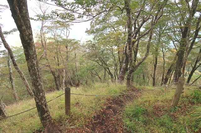 鍋割山北尾根入口