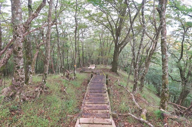 滑る木の階段がある登山ルート