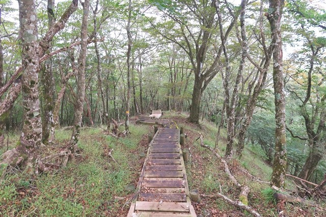 滑る木の階段がある登山ルート