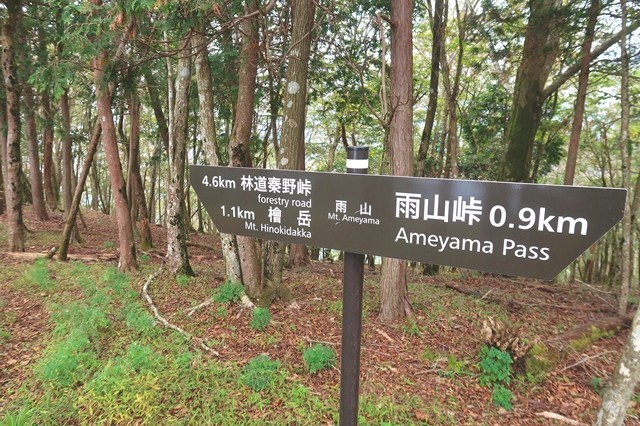 雨山の道標