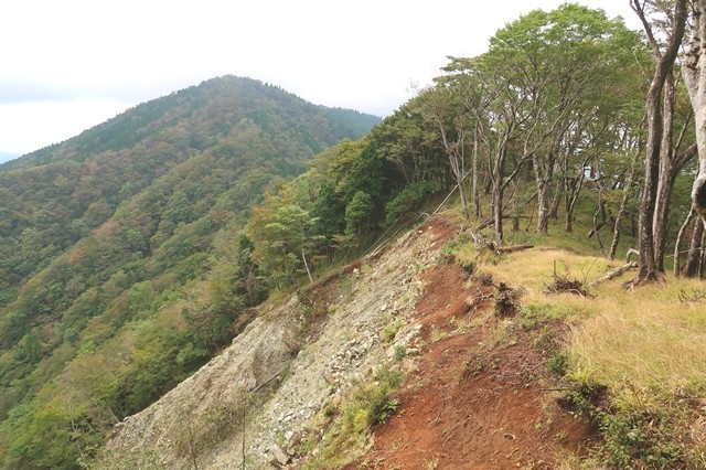 檜岳遠望