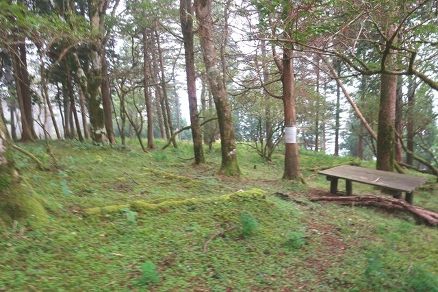 檜岳の山頂のベンチ