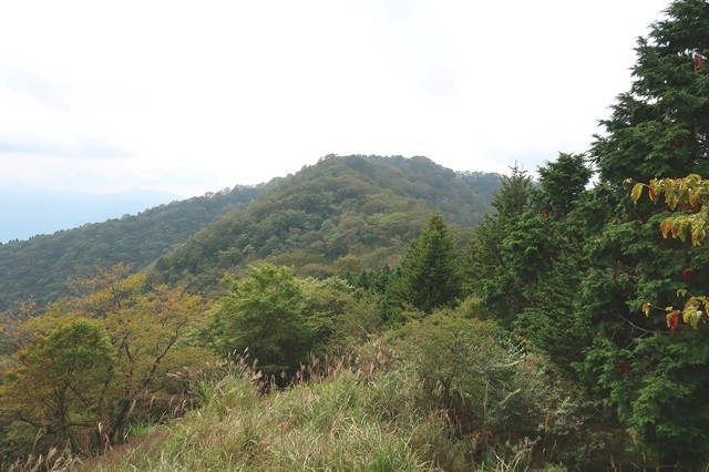 伊勢沢ノ頭登山道から遠望