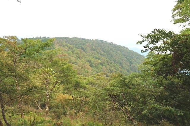 振り返っての檜岳山頂景色