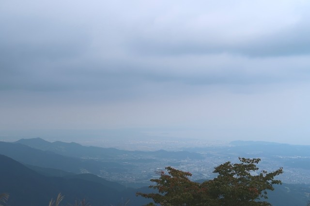 伊勢沢ノ頭周辺からの相模湾方面の景色