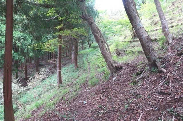 秦野峠廃道ルート