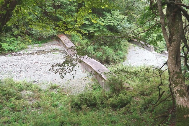 秦野峠廃道ルートからおんばく沢ルート