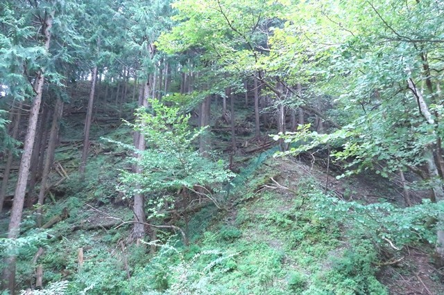 秦野峠廃道ルートの右岸