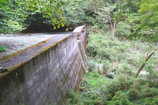 秦野峠廃道ルートの沢沿い