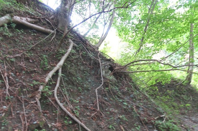 秦野峠廃道ルート振り返っての状況