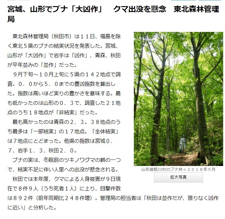 宮城県でクマ出没が多くなった原因木の実の不作