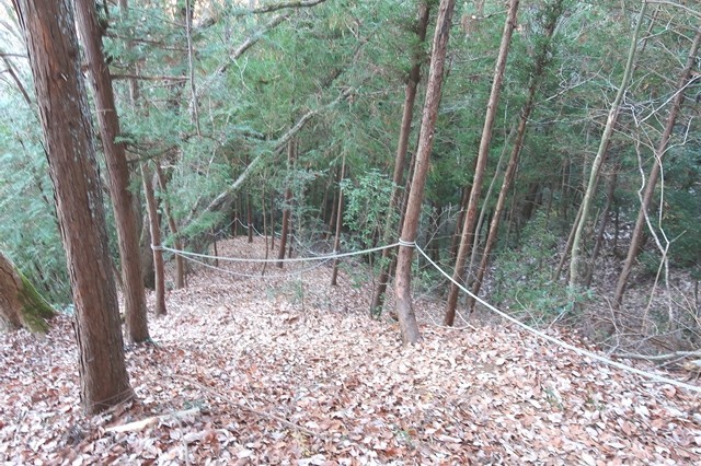 小渕山を経由して陣馬山登山ルート