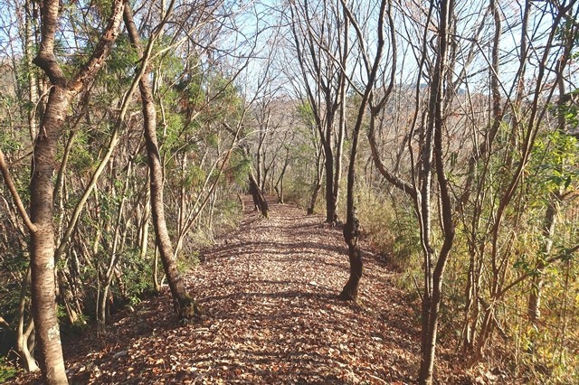 鷹取山からくらご峠の登山道様子