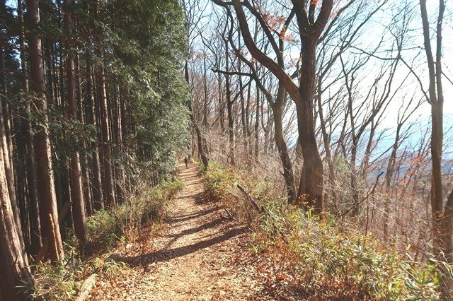 高尾山への縦走路