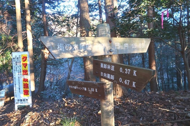 日向山の分岐