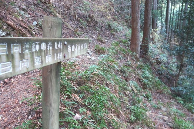 梅ノ木尾根と弁天の森キャンプ場の分岐